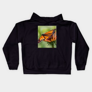 Orange and black monarch on a cone flower with wings spread Kids Hoodie